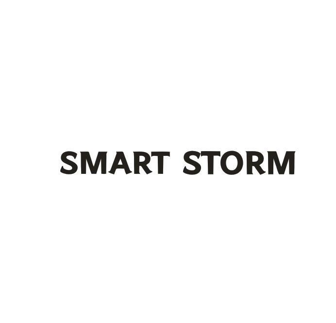 SMART STORM