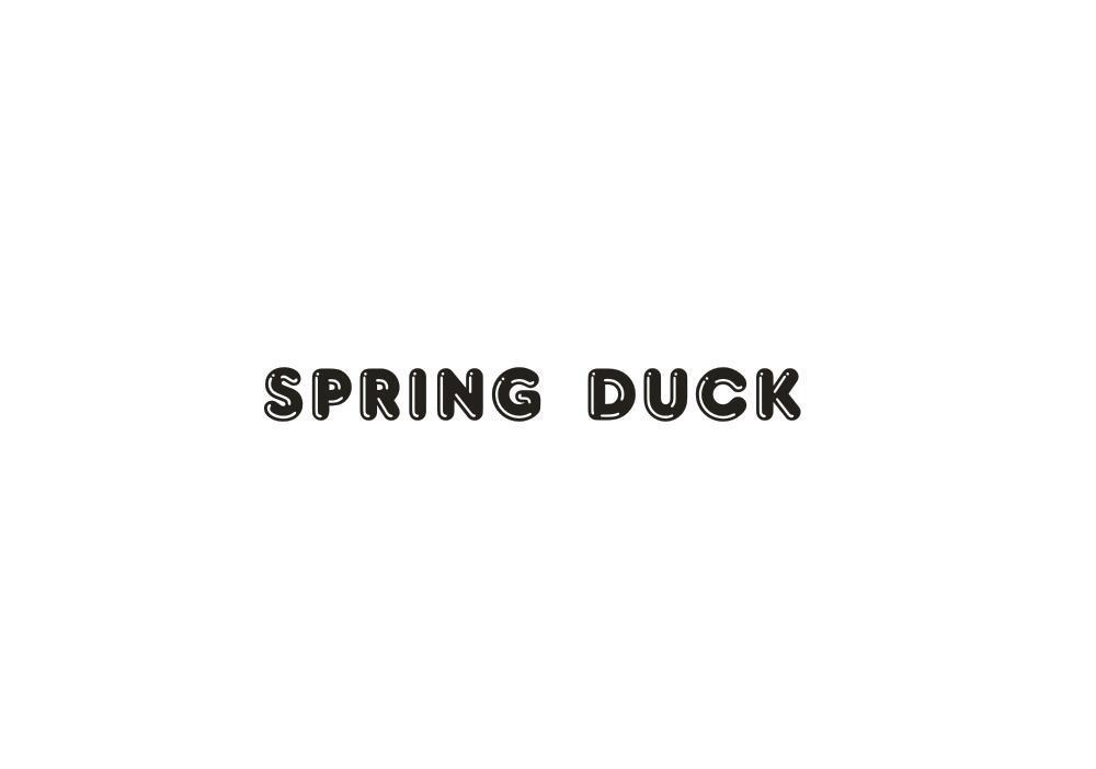 SPRING DUCK