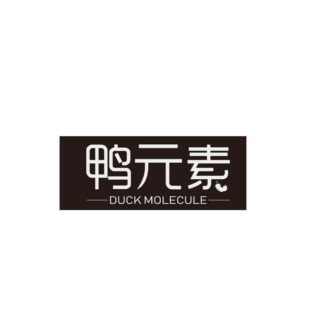 鸭元素 DUCK MOLECULE