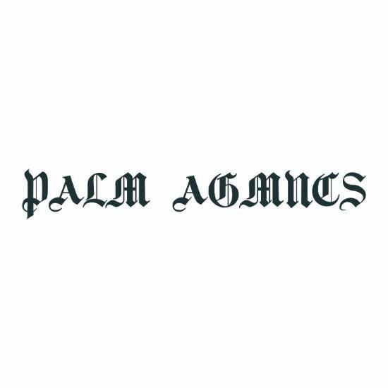 PALM AGMNCS