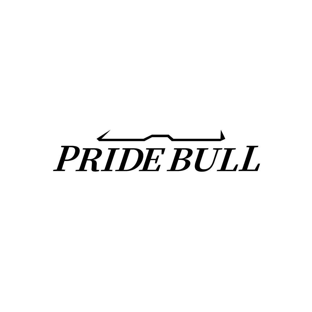 PRIDE BULL