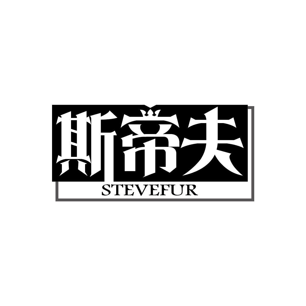 斯帝夫 STEVEFUR