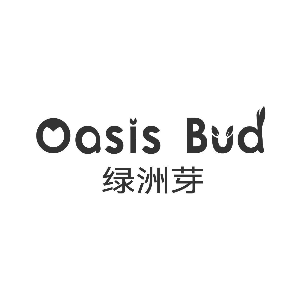 OASIS BUD 绿洲芽