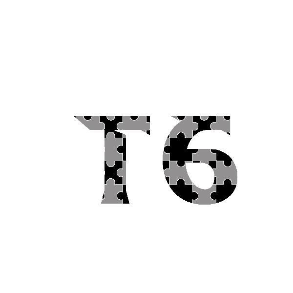 T6