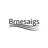 BRNESAIGS