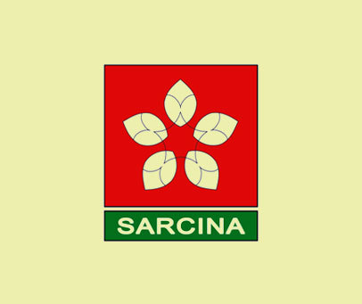 SARCINA