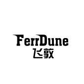 FERRDUNE 飞敦