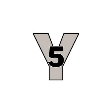 5 Y