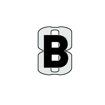 B 8