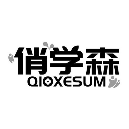 俏学森 QIOXESUM