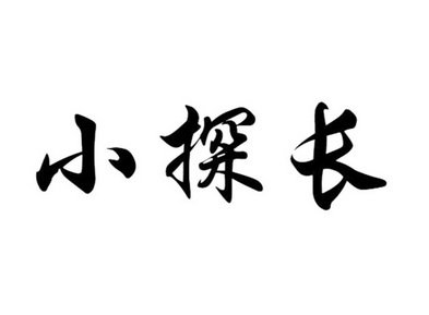 小探长