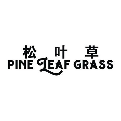 松叶草 PINE LEAF GRASS