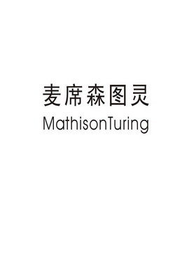 麦席森图灵 MATHISONTURING