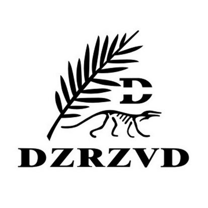 DZRZVD D