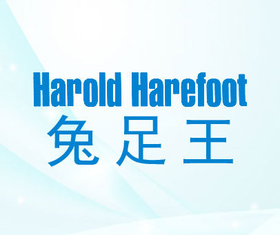 兔足王 HAROLD HAREFOOT