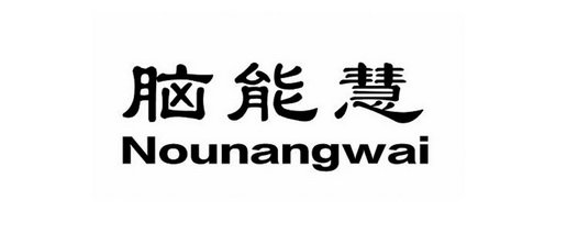 脑能慧 NOUNANGWAI