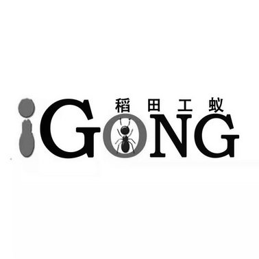 稻田工蚁 IGONG