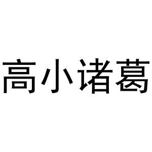 高小诸葛