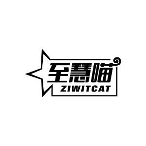 至慧喵 ZIWITCAT