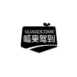 呱果驾到 GUAGOCOME