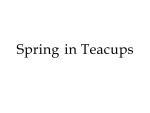 SPRING IN TEACUPS