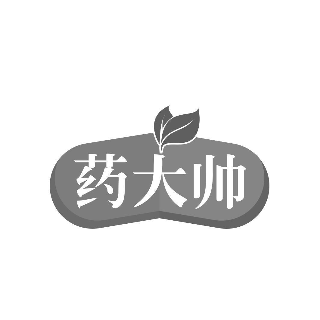 药大帅