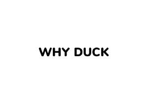 WHY DUCK