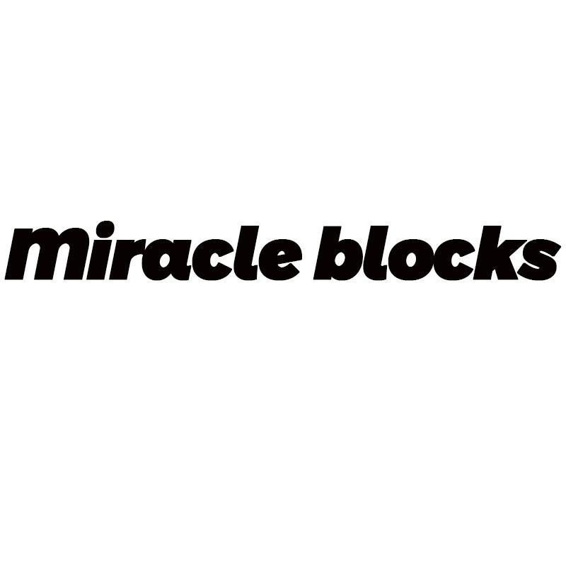 MIRACLE BLOCKS