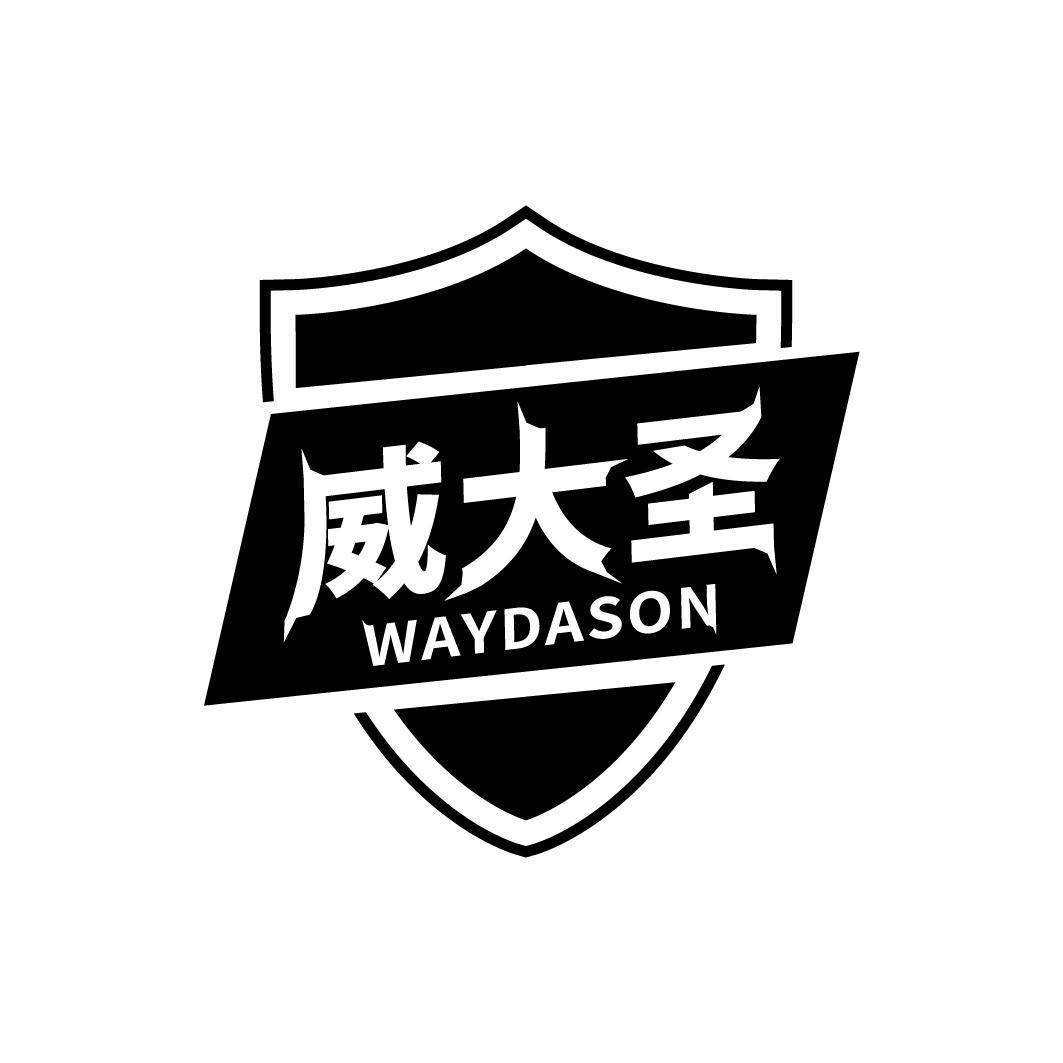 威大圣 WAYDASON