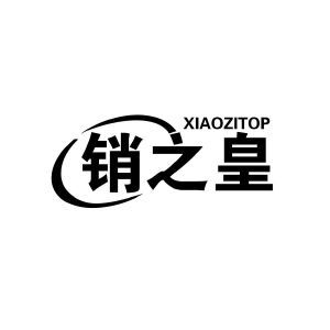 销之皇 XIAOZITOP