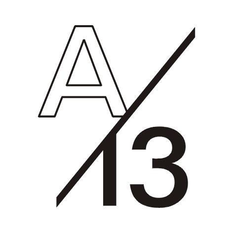 A 13