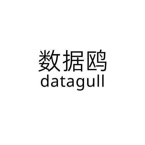 数据鸥 DATAGULL