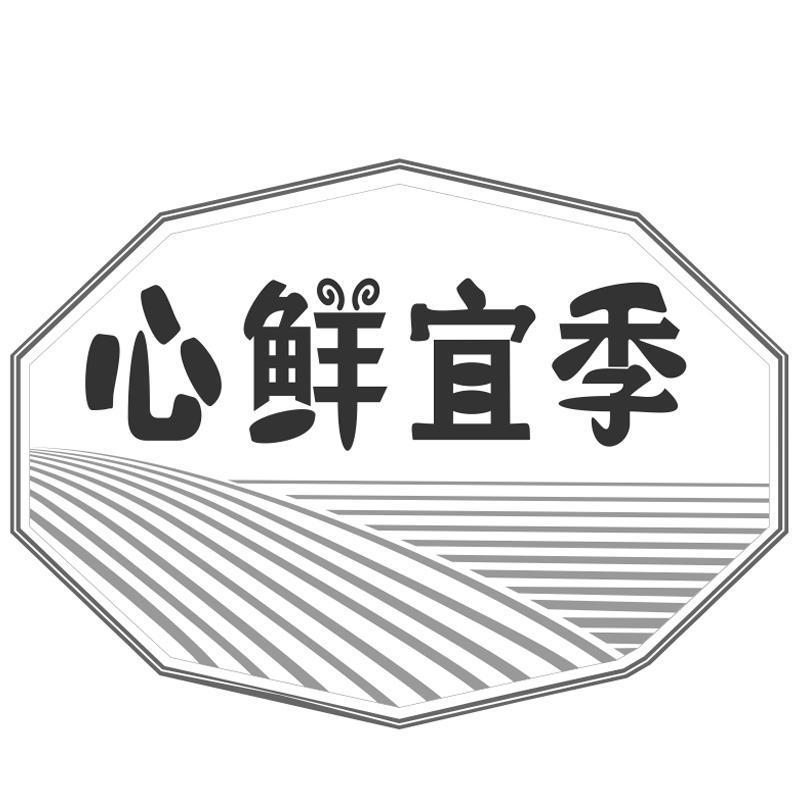 心鲜宜季