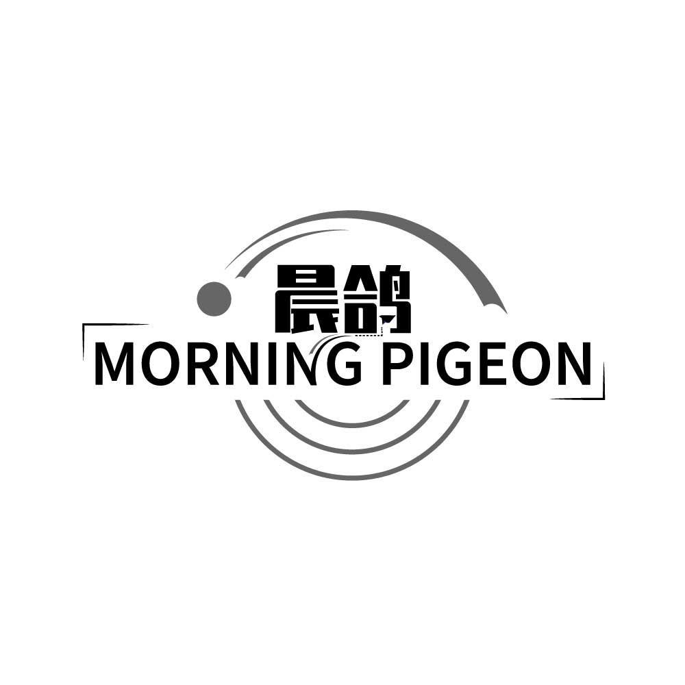 晨鸽 MORNING PIGEON