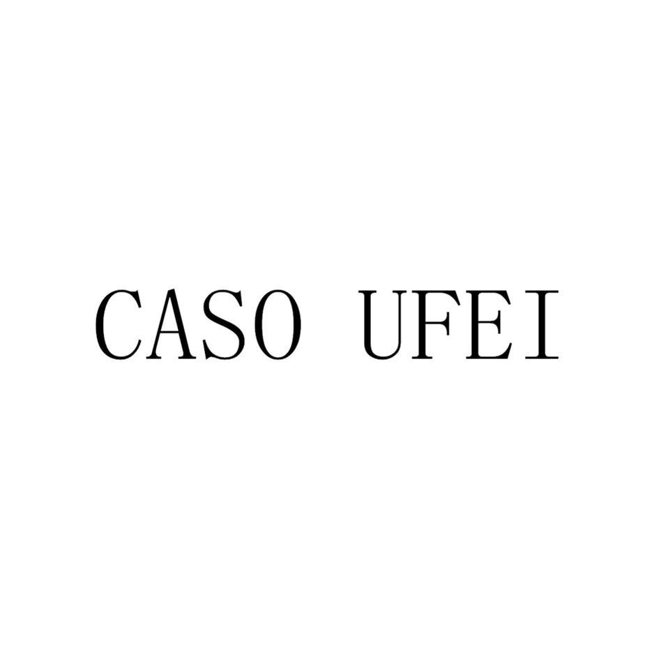 CASO UFEI