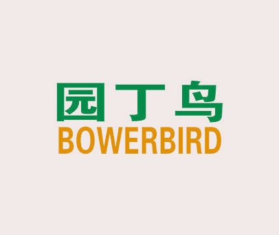 园丁鸟 BOWERBIRD