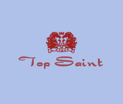 TOP SAINT