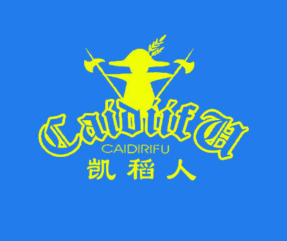 凯稻人 CAIDIRIFU CAIDIIFU