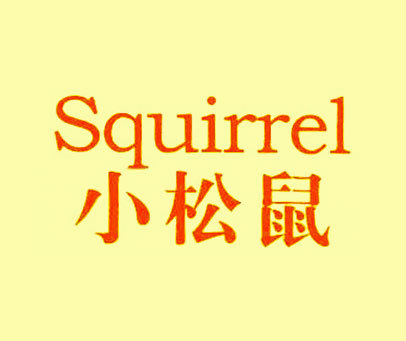 小松鼠 SQUIRREL