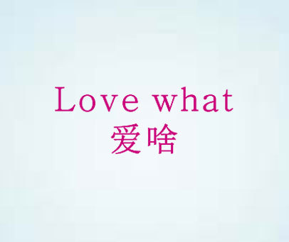 爱啥 LOVE WHAT