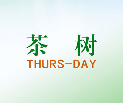 茶树-THURSDAY