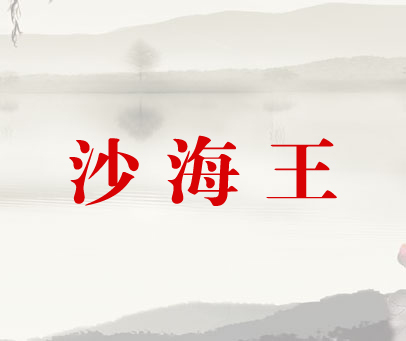 沙海王