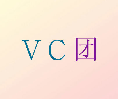 VC 团