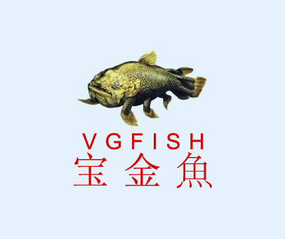 宝金鱼 VGFISH