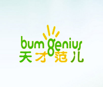 天才范儿 BUM GENIUS