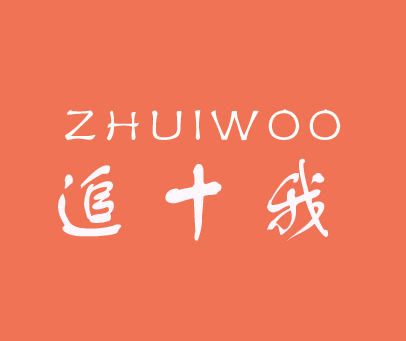 追十我 ZHUIWOO