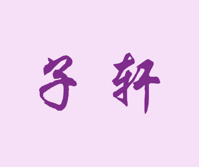 子轩