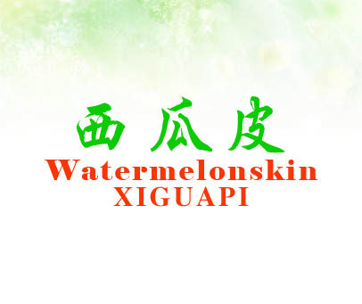 西瓜皮 WATERMELONSKIN