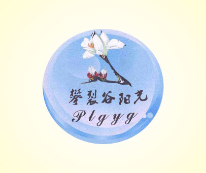 攀裂谷阳光 PLGYG