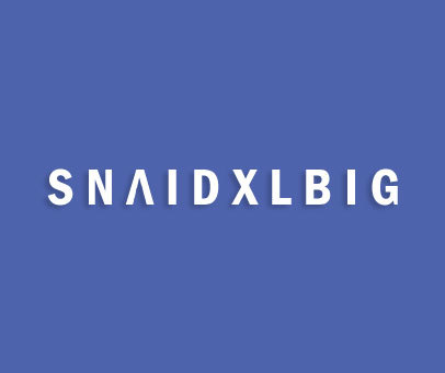 SNAIDXLBIG